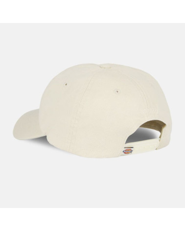 Casquette Hardwick Dickies, shop New Surf à Dinan, Bretagne